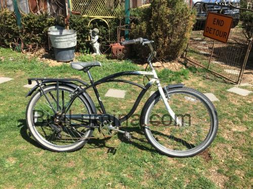 Schwinn Riverside ficha técnica y opiniones
